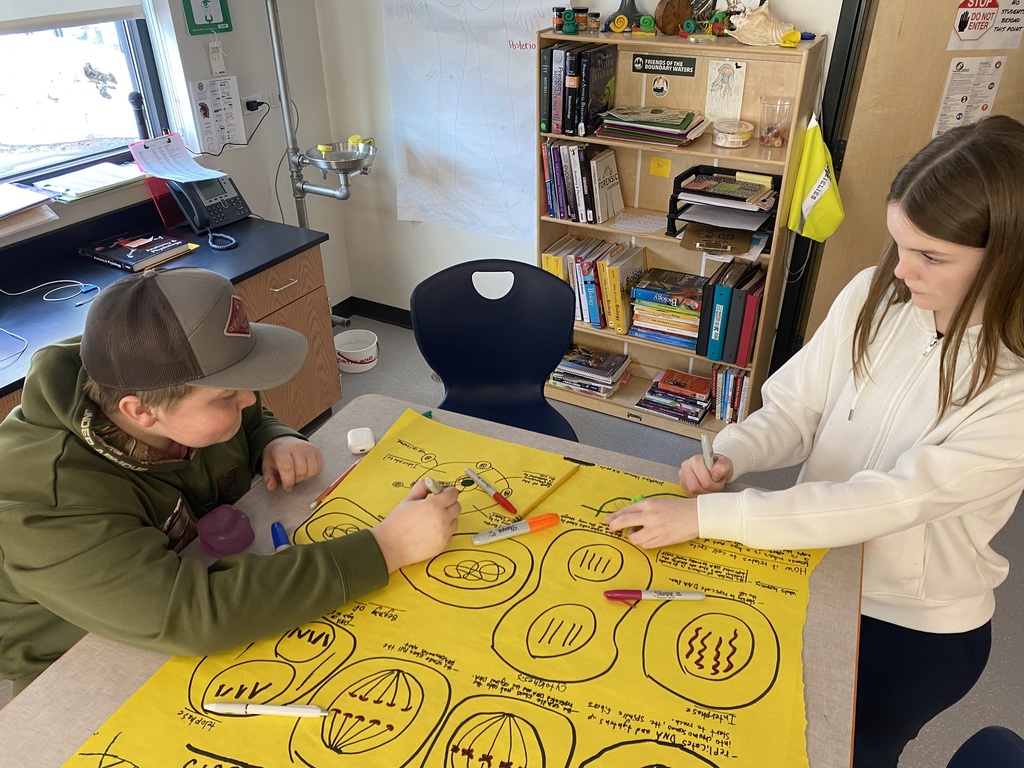 Each group had to show all phases of mitosis, tell what is happening in each, and visually relate mitosis to the cell cycle.