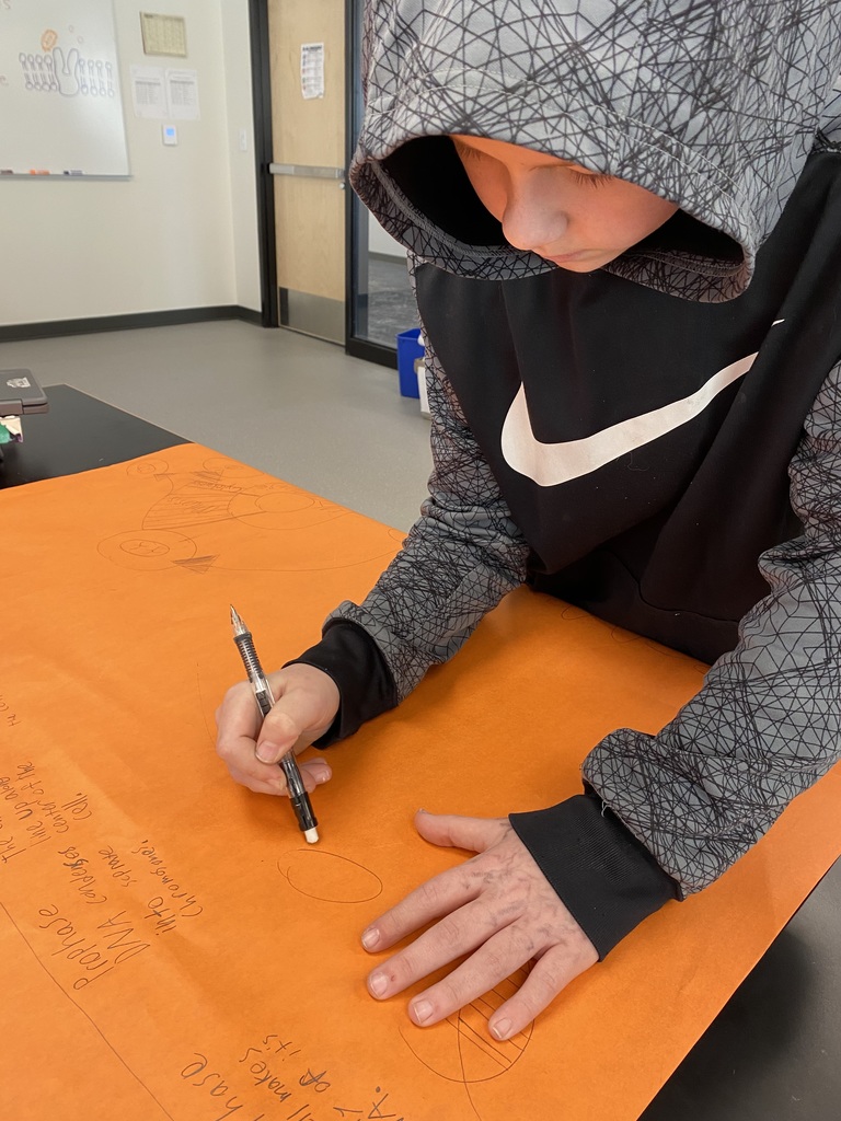 Each group had to show all phases of mitosis, tell what is happening in each, and visually relate mitosis to the cell cycle.