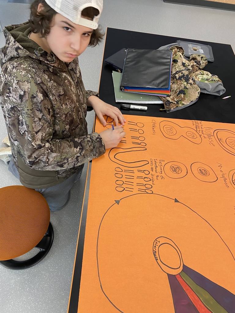 Each group had to show all phases of mitosis, tell what is happening in each, and visually relate mitosis to the cell cycle.