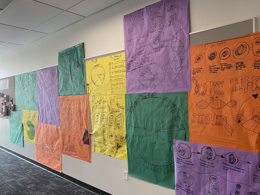 Presentation of information