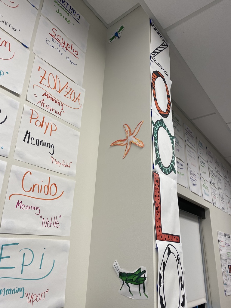 Zoology root word wall