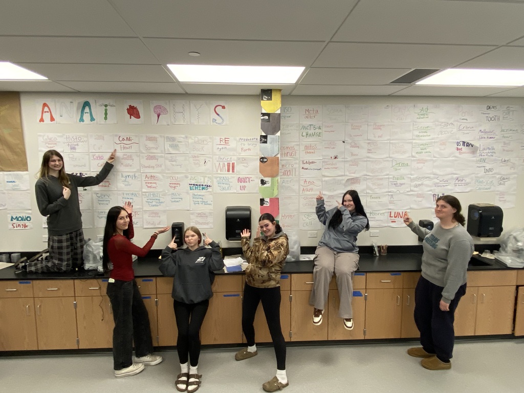 Anat & Phys root word wall