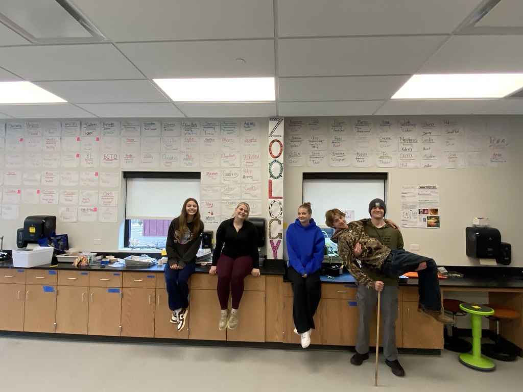 Zoology root word wall