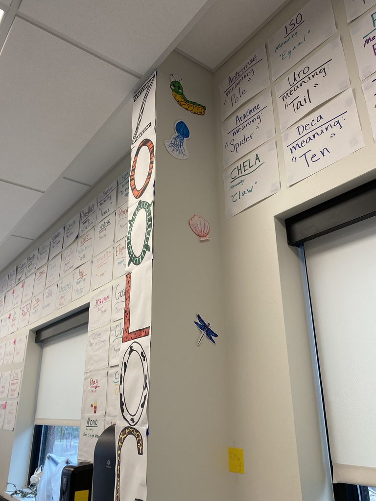 Zoology root word wall