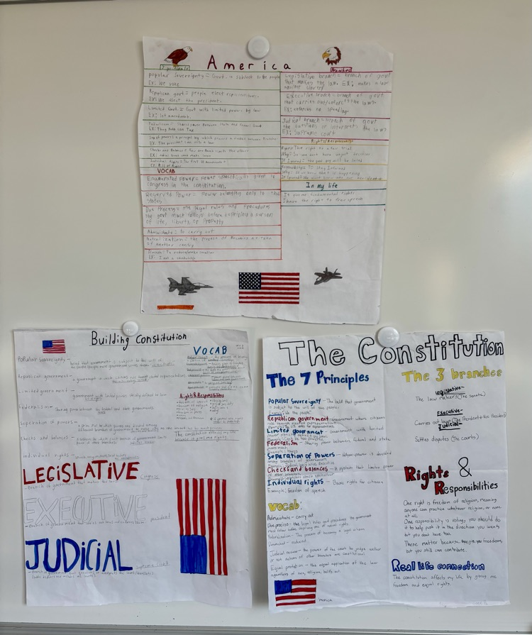 student constitutions 