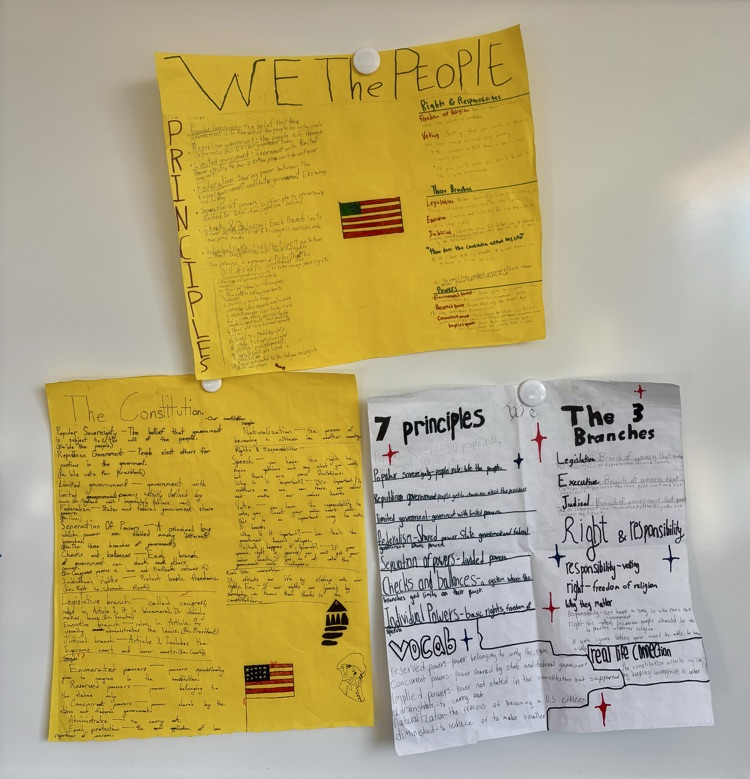 student constitutions 