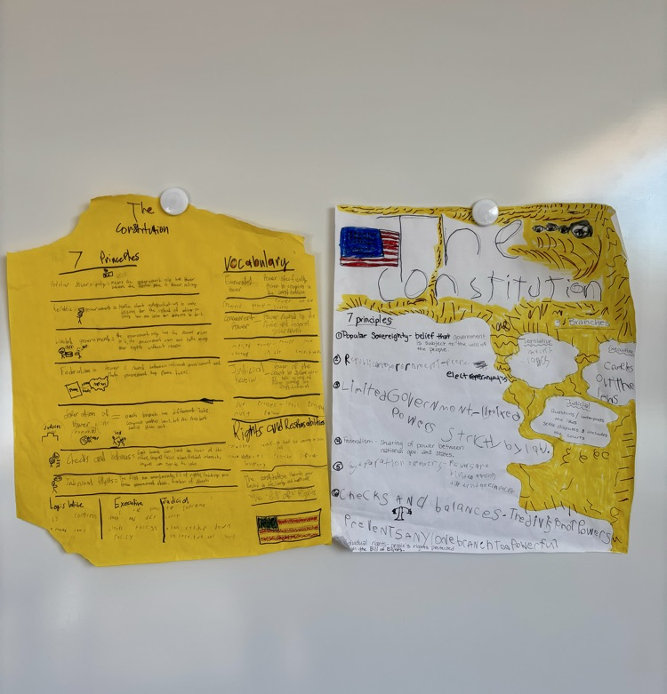 student constitutions 