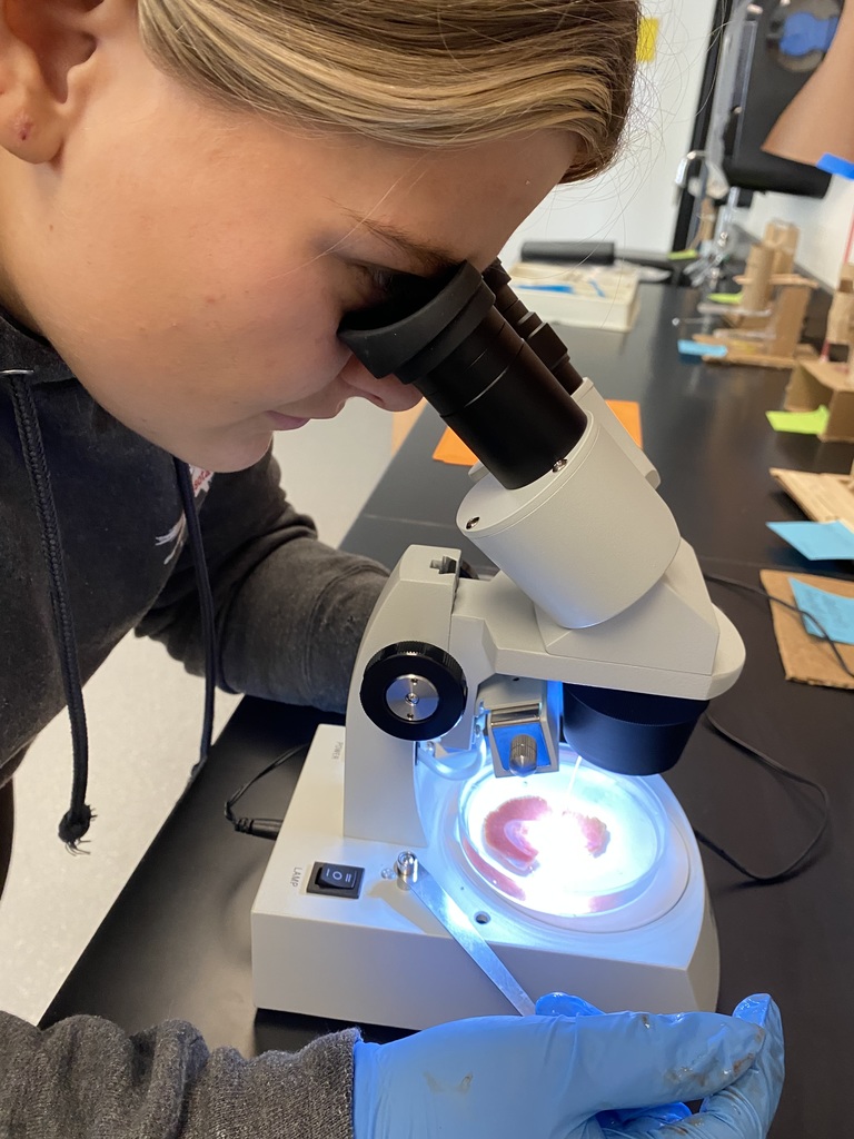 Observing gills in water