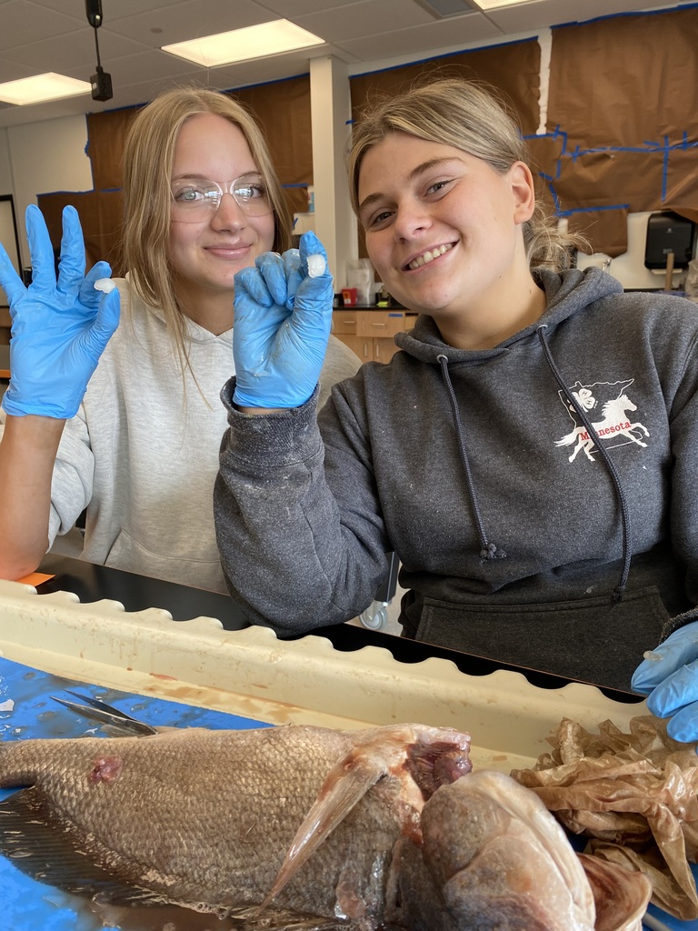 Found the otoliths!!!