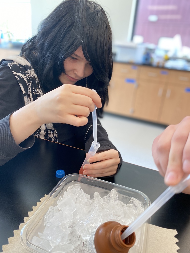 DNA Extraction Lab