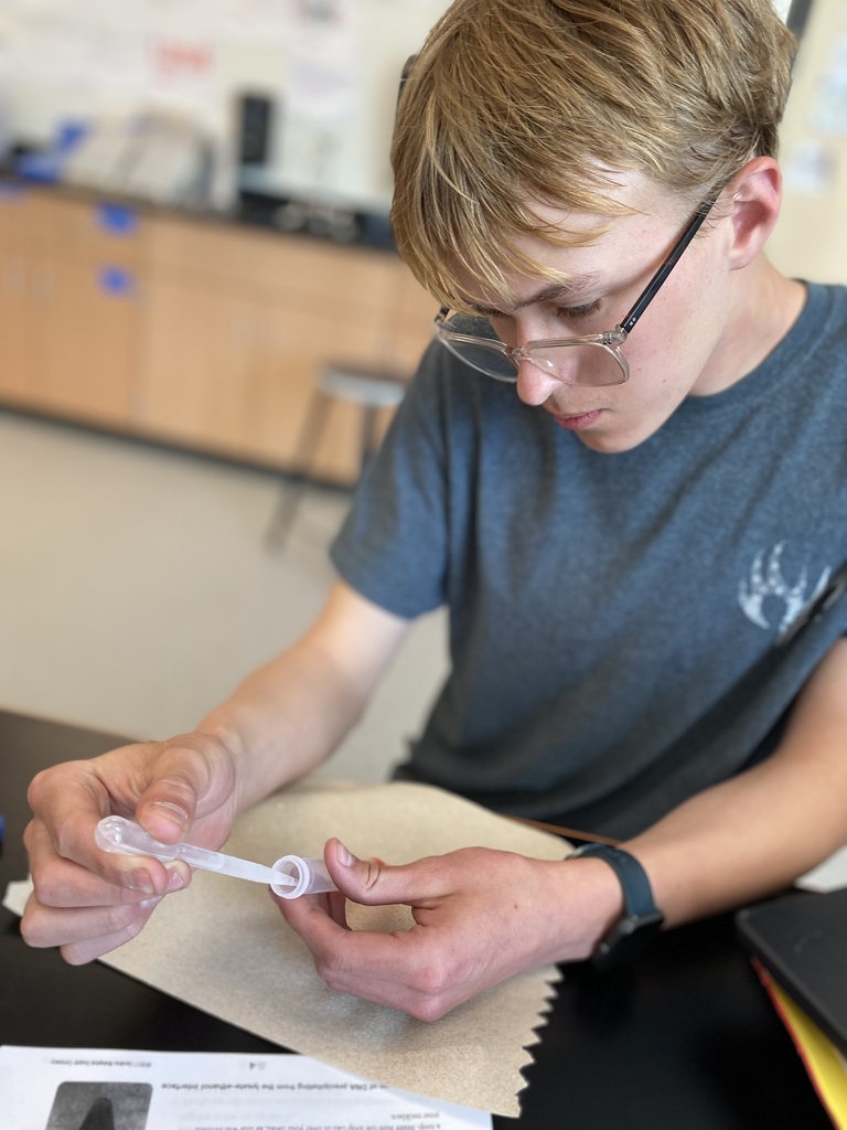 DNA Extraction Lab