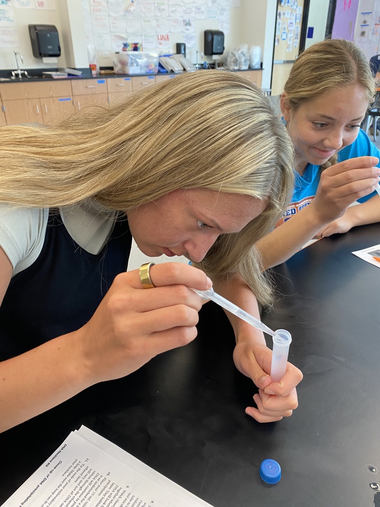 DNA Extraction Lab