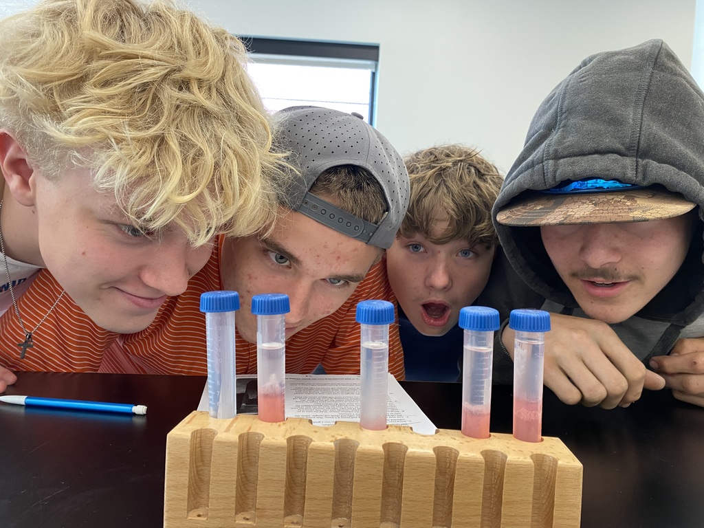 DNA Extraction Lab