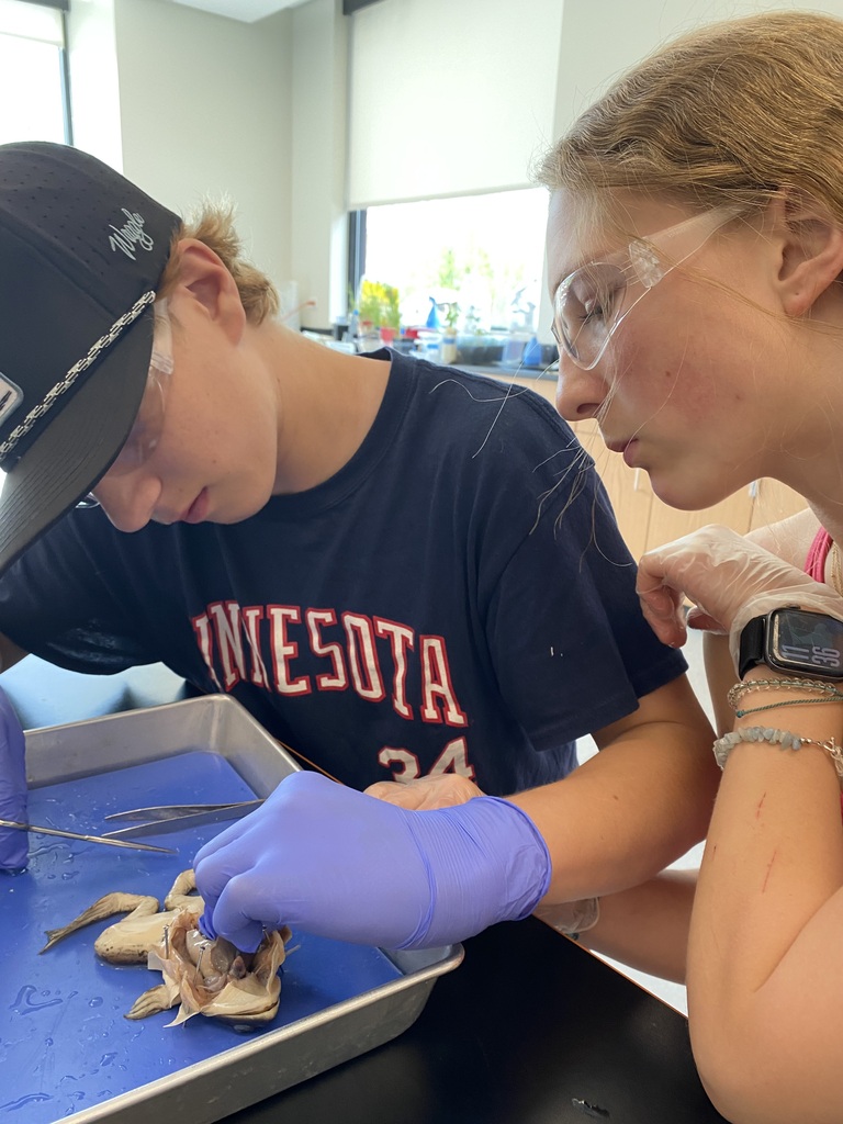 Frog Dissection