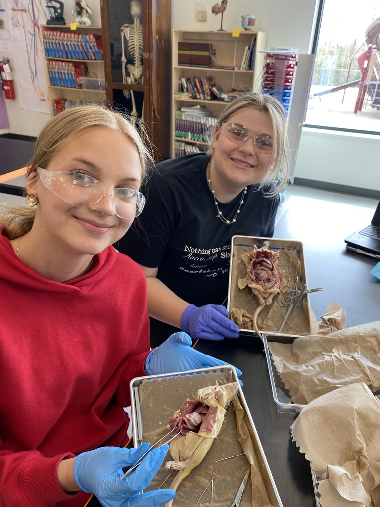 Rat Dissection