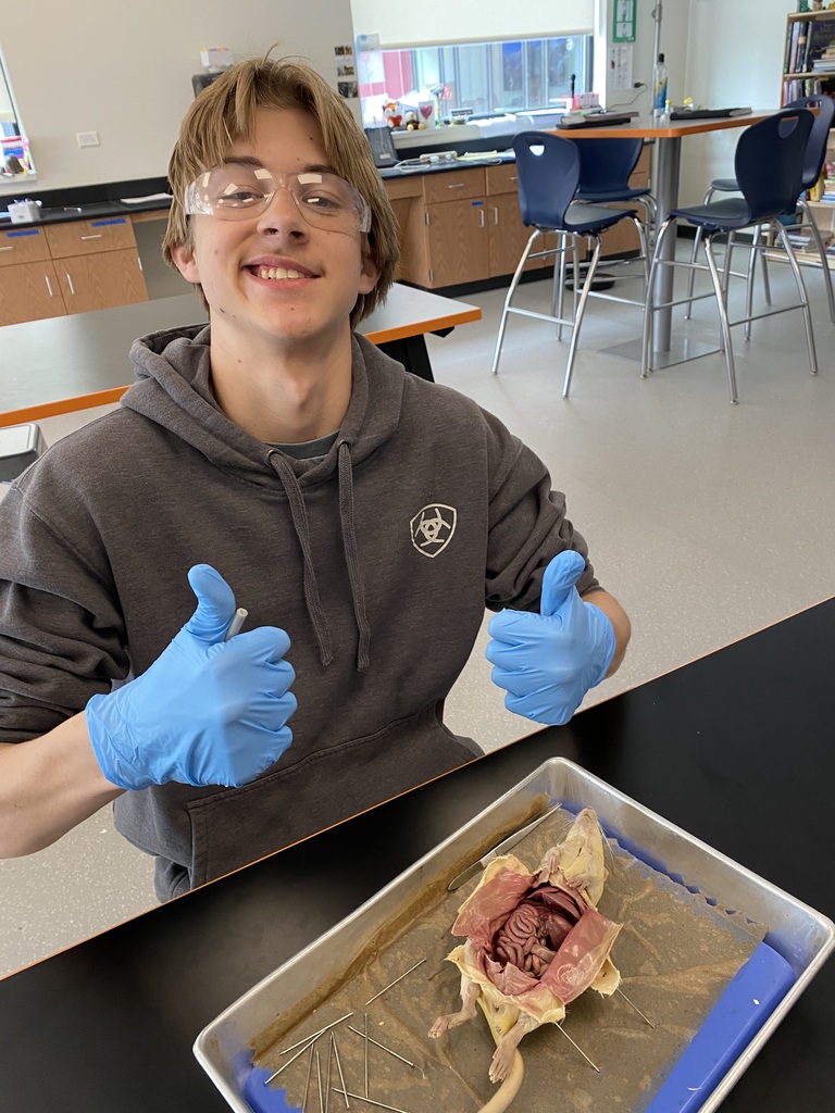 Rat Dissection