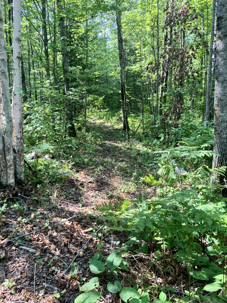 trail