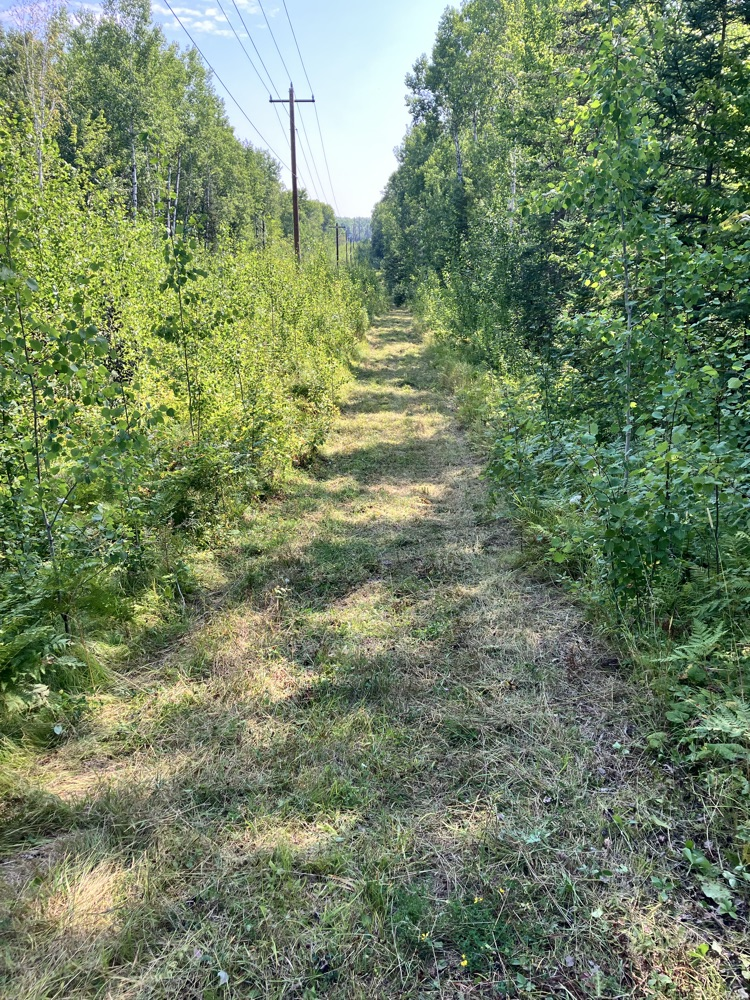trail 2