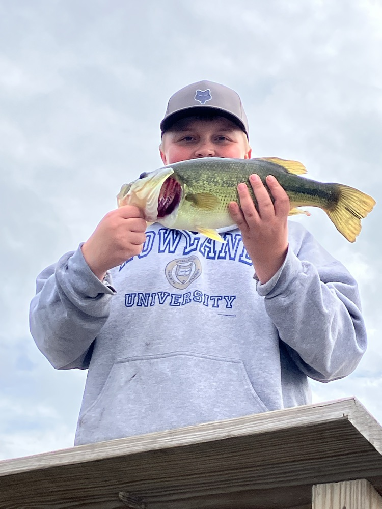 fish