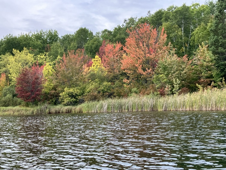 fall
