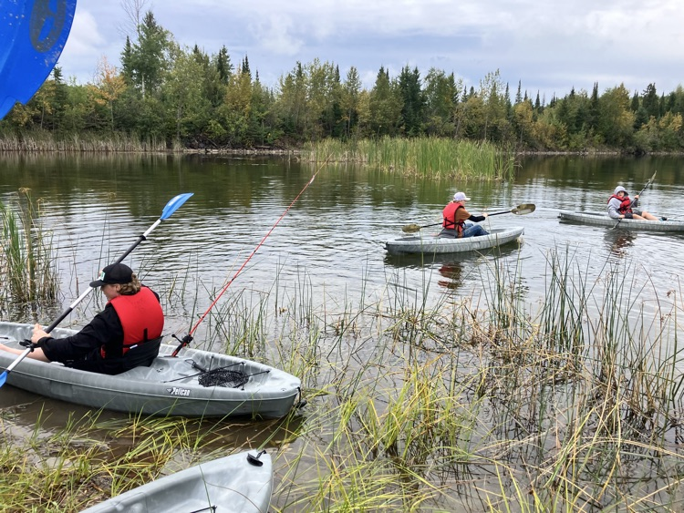 kayak