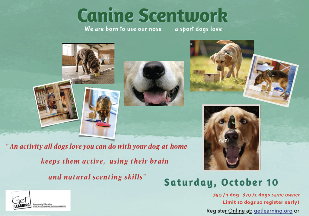 Scentwork