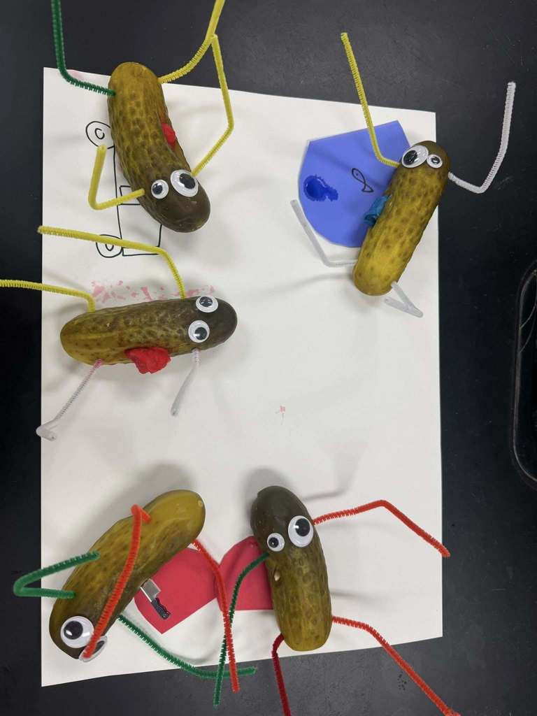 Five pickles decorated with googly eyes and colorful pipe cleaners are arranged on a piece of paper, each representing a character for a classroom forensic science activity.