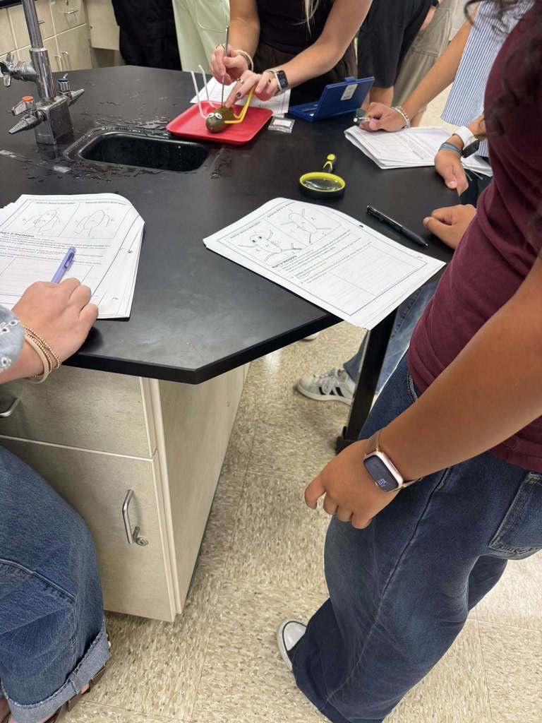 Students use dissection tools to examine a pickle with googly eyes and pipe cleaner limbs. A lab worksheet and magnifying glass are nearby as part of the anatomy lesson.