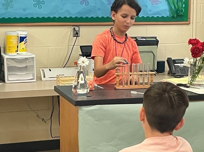 A student standing at the front of the classroom, conducting part of the Flower Lab experiment by placing liquid into test tubes while classmates watch.