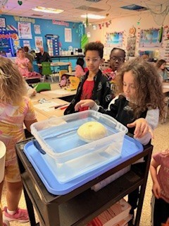 student science experiment