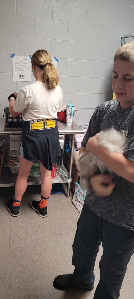 Yulee High School agriculture students demonstrate animal care in the classroom, with one student holding a rabbit and another preparing materials on a work table.