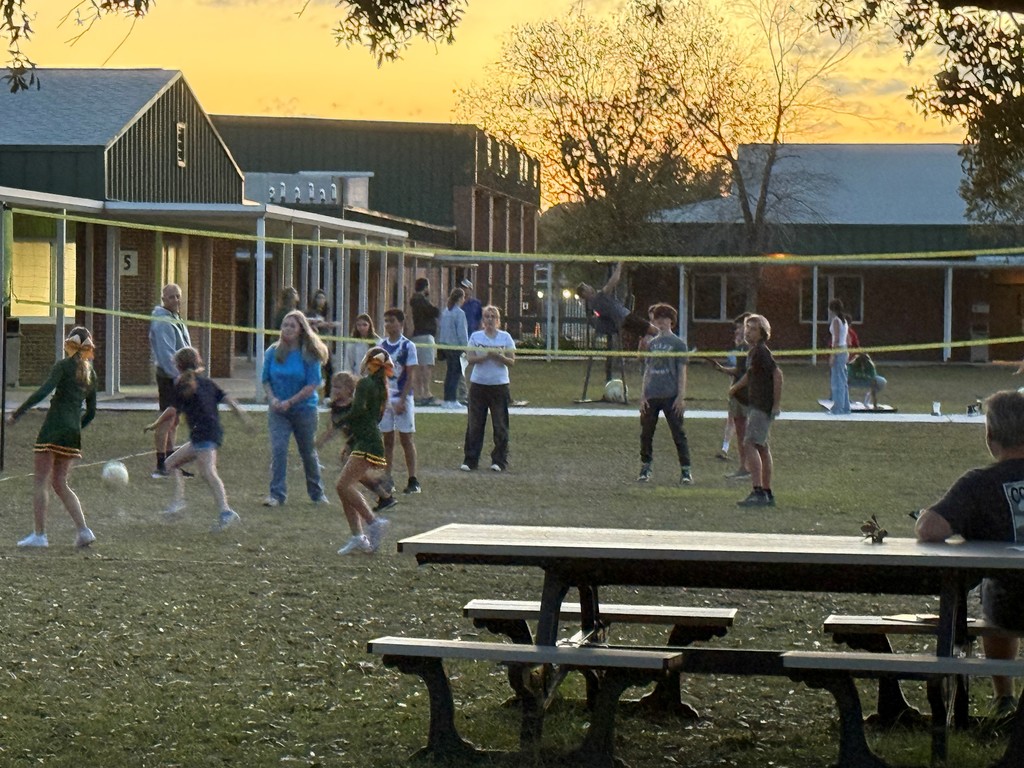 Families playing volleyball