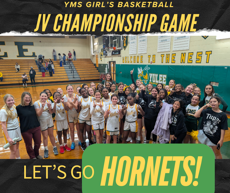 JV Girl's Basketball Poster