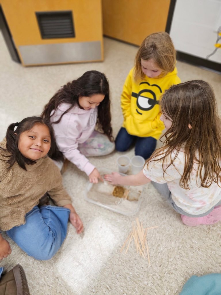 Four second grade students sit on the floor around a shallow container of sand and wooden sticks, working together to build a small dam.