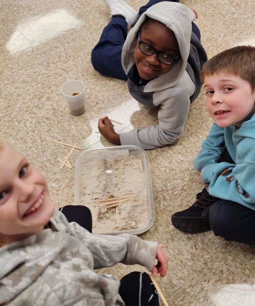 Four second grade students sit on the floor around a shallow container of sand and wooden sticks, working together to build a small dam.