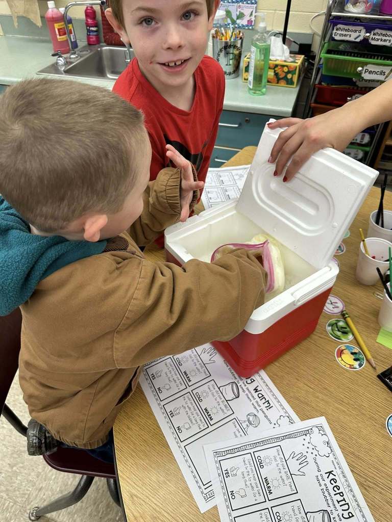 Kindergarten students gather around a classroom table as one student reaches into a cooler containing a sealed bag used to model Arctic blubber during a science lesson.
