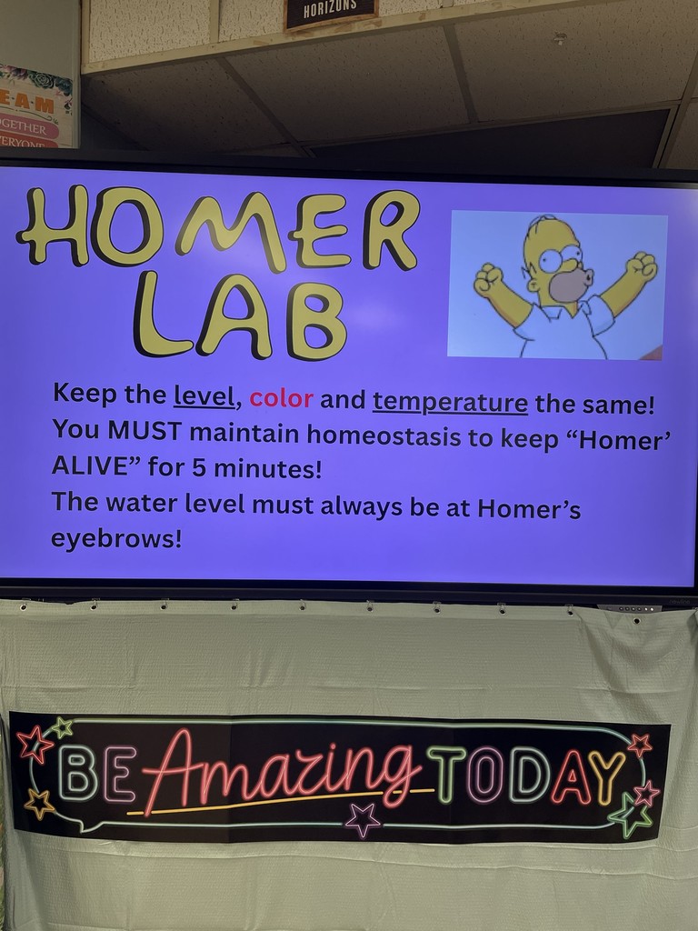 Homer Lab