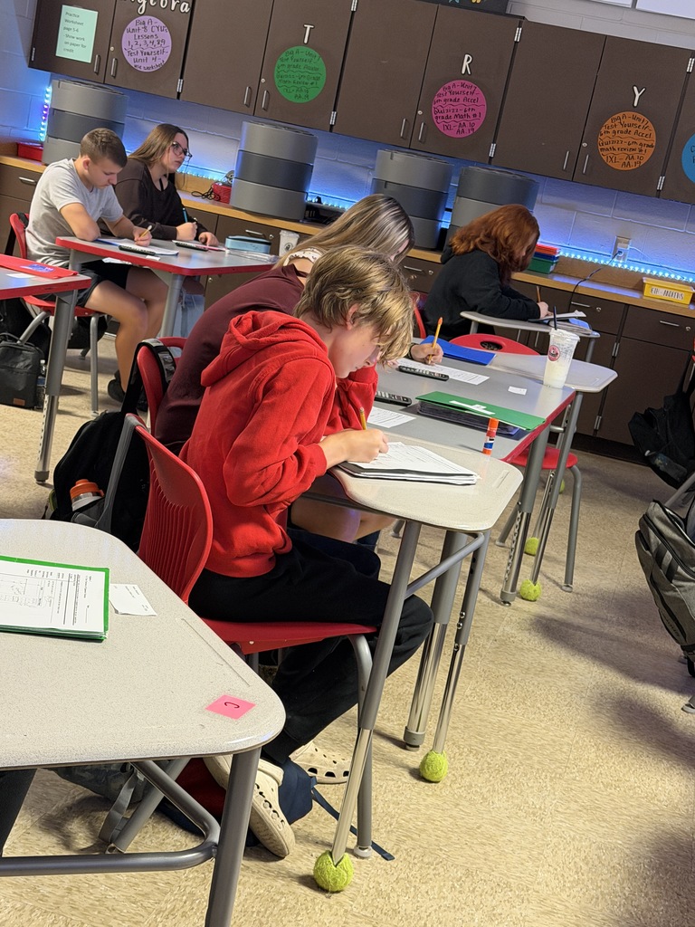 Students actively working on graph.