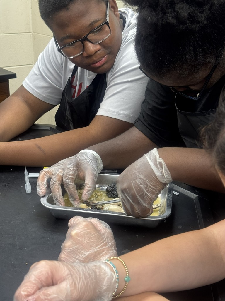 Students working on frog dissection.