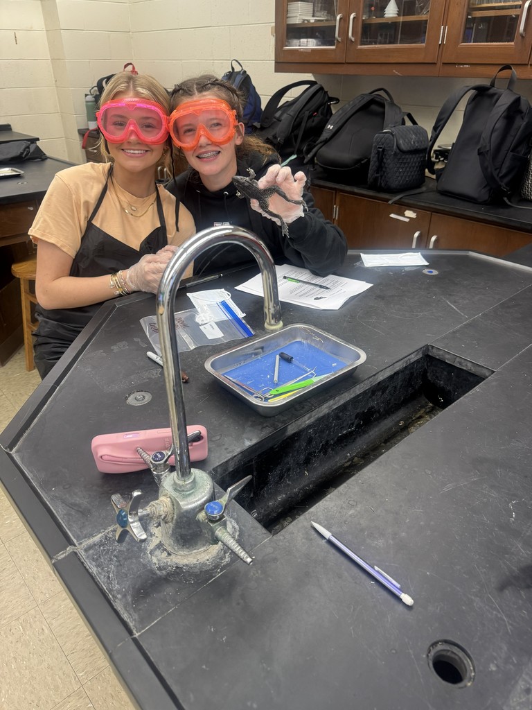 Students working on frog dissection.