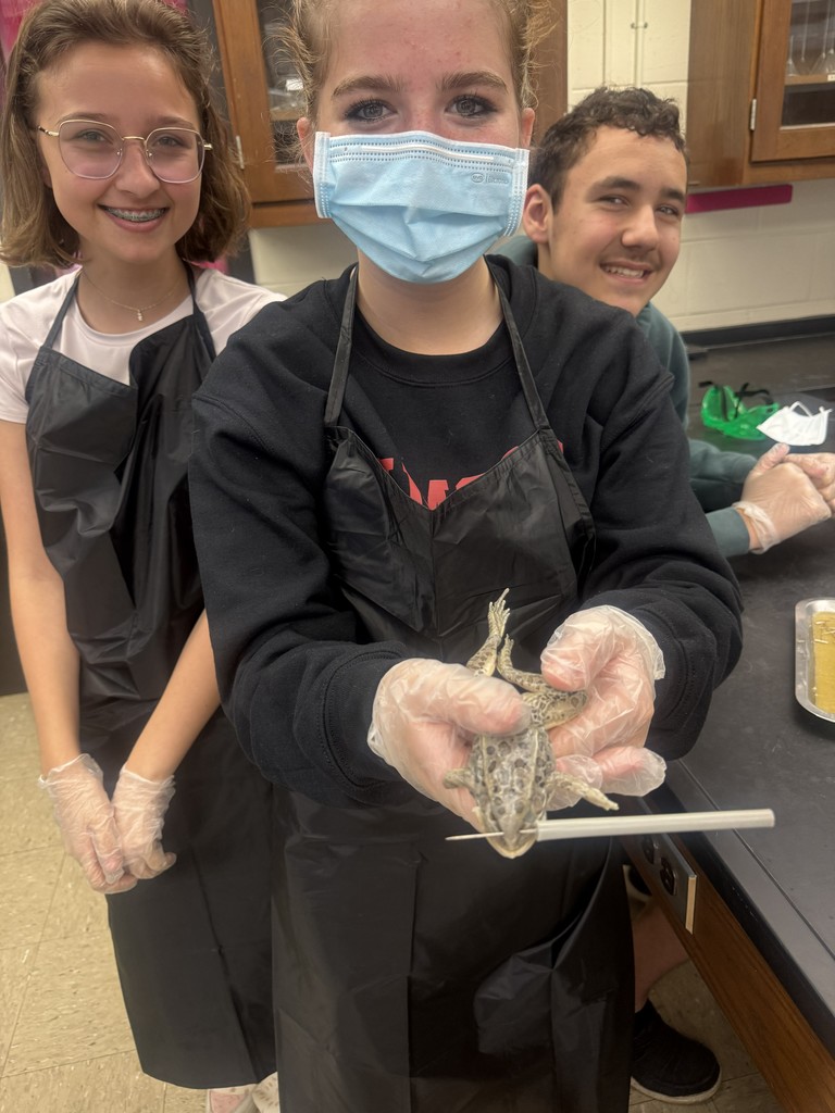 Students working on frog dissection.