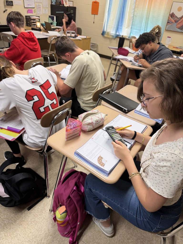 Students working on Geometry problems.