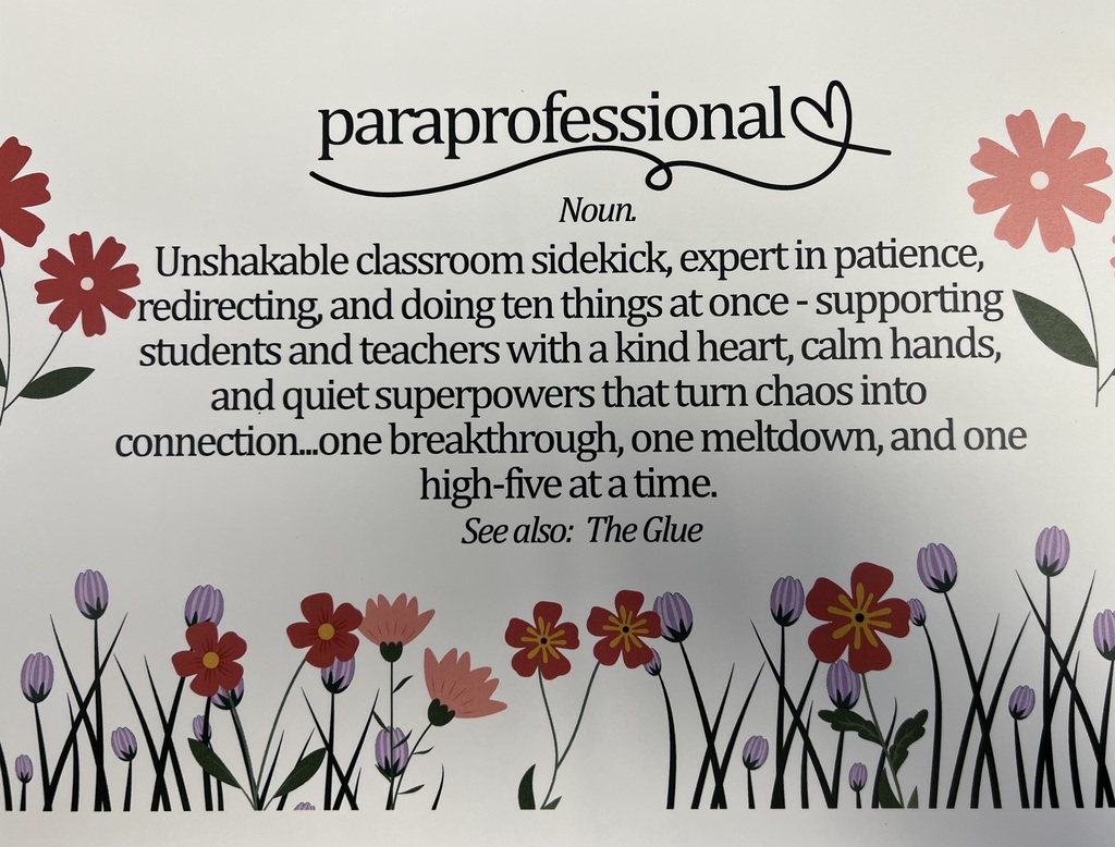 Description of the impact paraprofessionals have on a school campus 