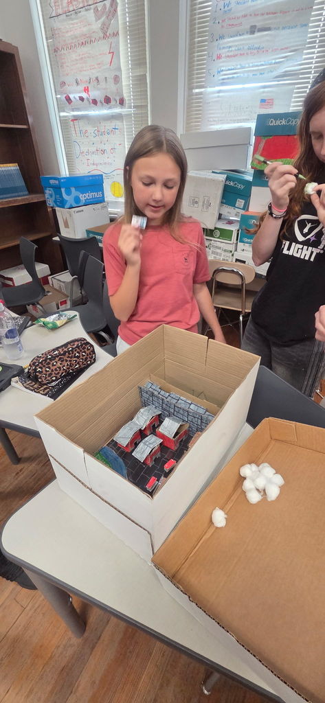 Students actively working on project.