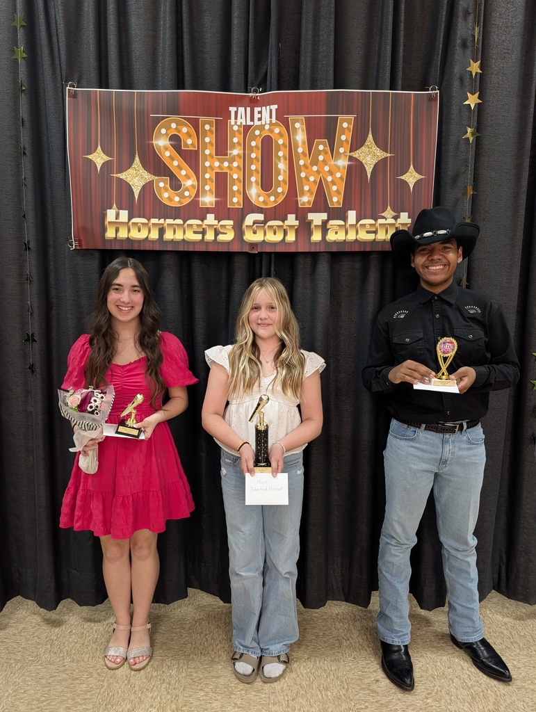 Three students pose with their awards in front of a sign that says "Talent Show, Hornets Got Talent" with bright lights on the word "SHOW" with a red background. 