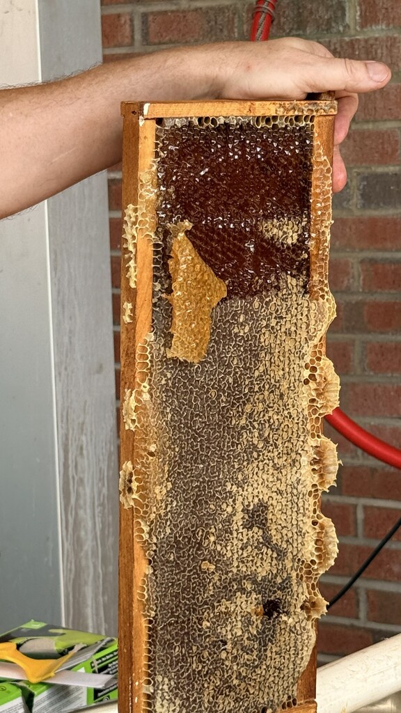 Honey Collection