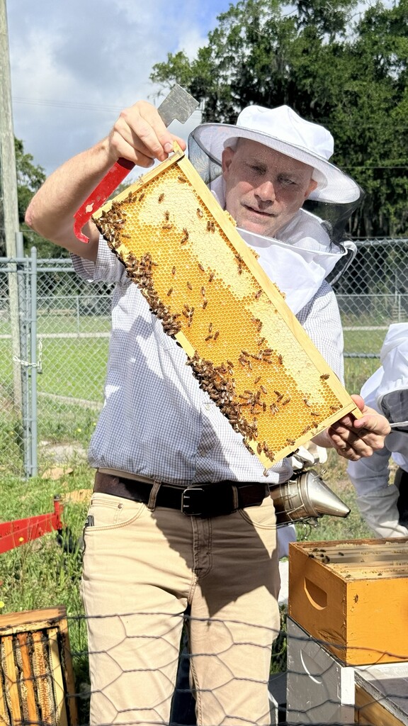 Honey Collection