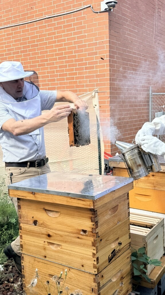 A staff member removes a honeycomb frame from a beehive while another person uses a bee smoker during an agricultural demonstration outside Hilliard Middle-Senior High School.