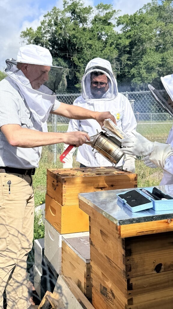 Staff members in protective beekeeping suits observe a hive inspection and honey harvesting demonstration beside several wooden bee boxes at Hilliard Middle-Senior High School.