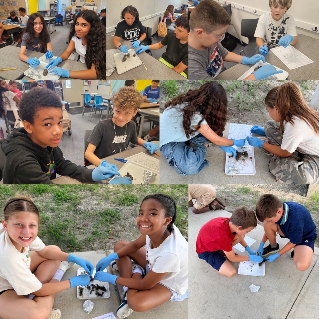 A collage of 5th-grade students wearing blue protective gloves and using tools to dissect owl pellets at their classroom desks.